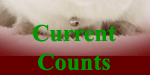 Current Counts
