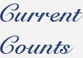 Current Counts
